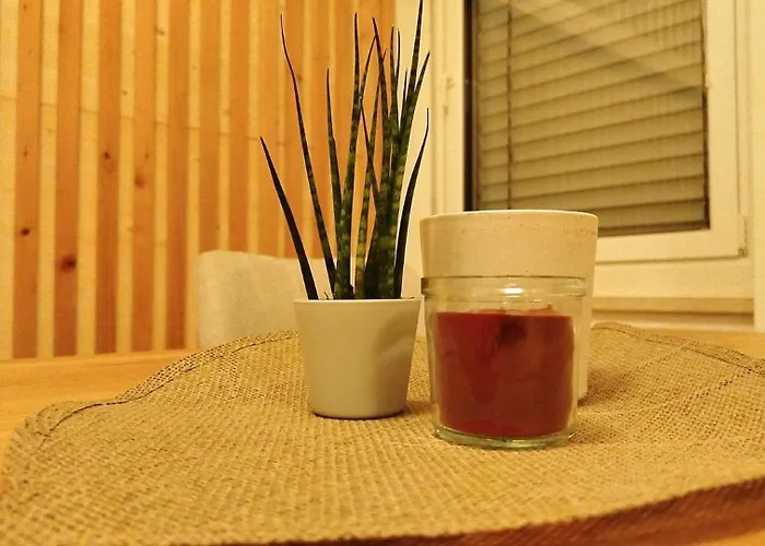 Ganzes Haus Fuer Dich 20min Bis Nach Interlaken Und Adelboden Vakantiehuis *