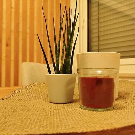 Ganzes Haus Fuer Dich 20min Bis Nach Interlaken Und Adelboden * Frutigen